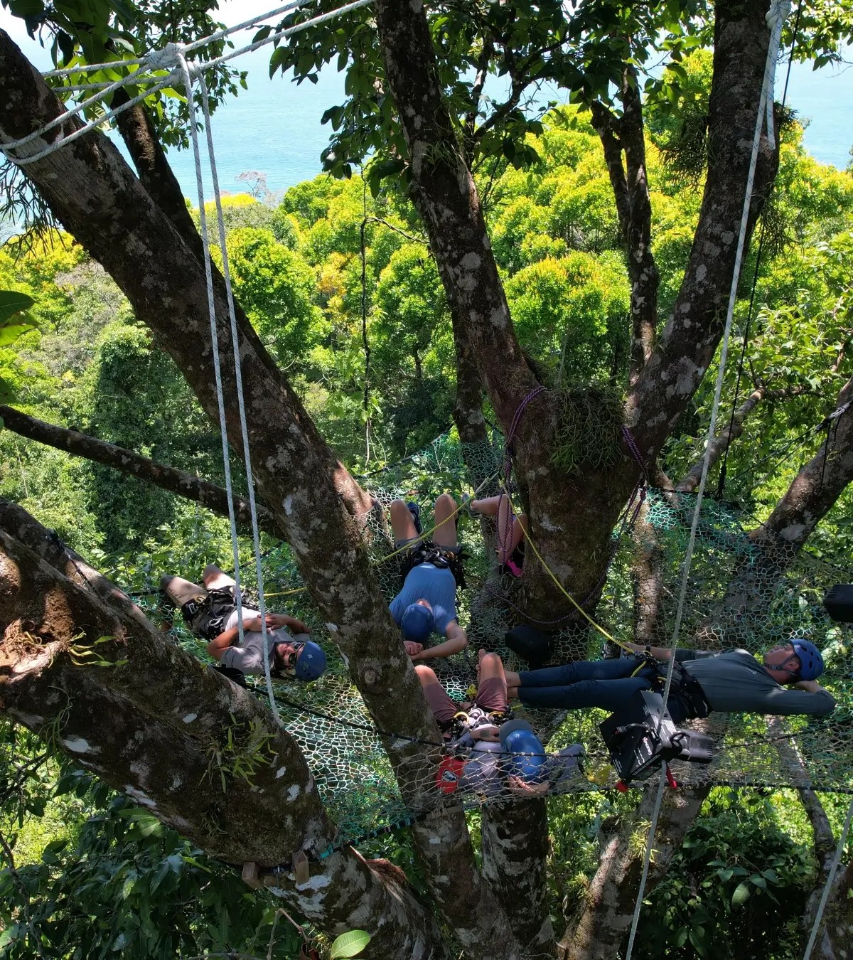 Tree Climbing - Klimbos!